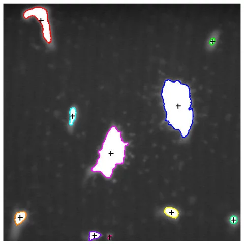 Blob analysis identifies particles despite low contrast with additional pre-processing steps.