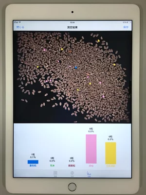 Machine vision analysis showing inspection results and quality metrics of rice grains on a tablet interface.