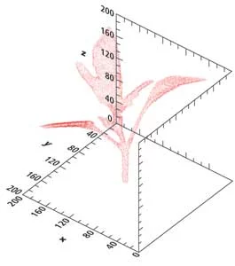 Three-dimensional plant volume reconstruction using space carving for automated tomato seedling classification.