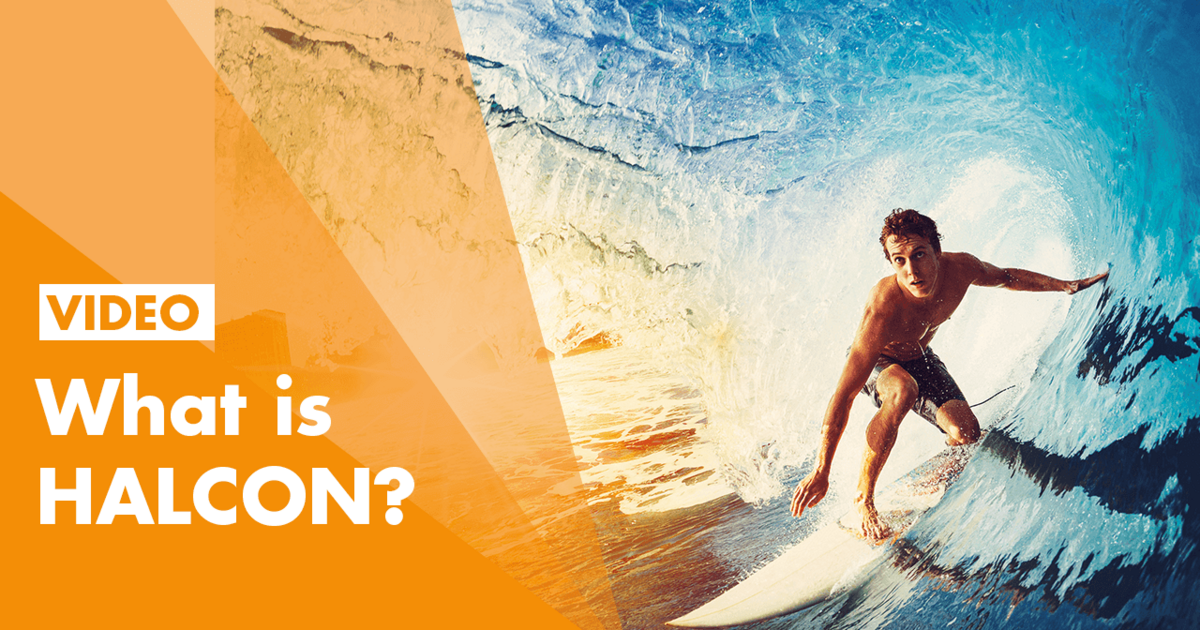 What Is HALCON?