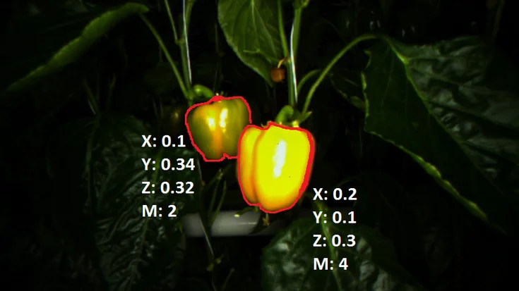 Object detection of ripe sweet peppers using MVTec HALCON with color- and shape-based analysis from RGB-D camera data.