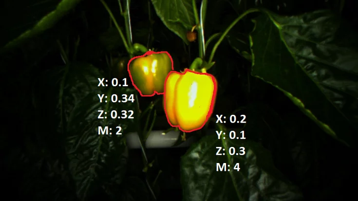 Object detection of ripe sweet peppers using MVTec HALCON with color- and shape-based analysis from RGB-D camera data.