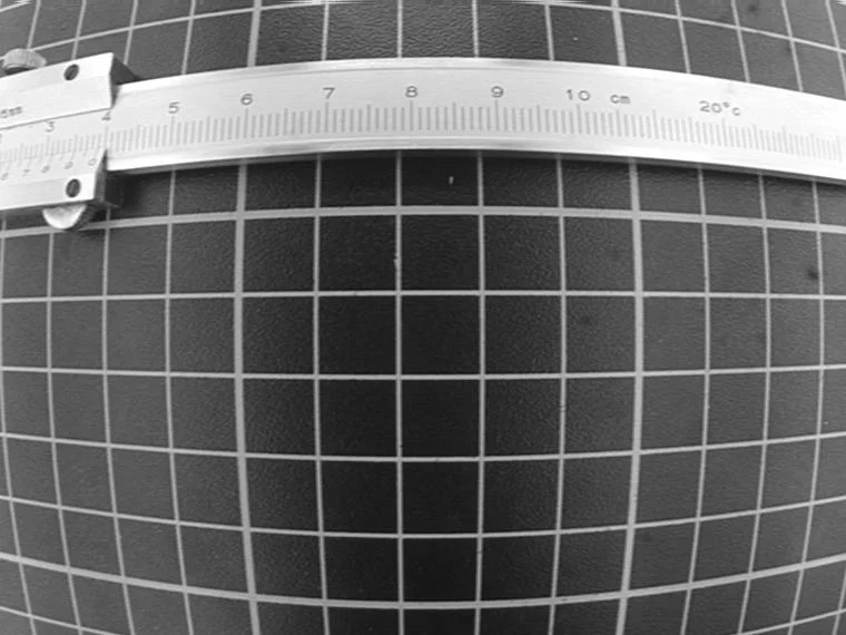 Before correcting the lens distortion.