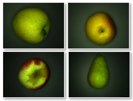 Industrial camera image of different fruit varieties for deep learning-based image classification.