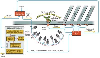 System diagram showing a multi-camera setup and triggering for 3D volume-based classification of tomato seedlings.