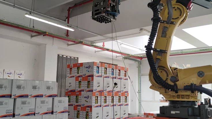 Robot depalletizing cartons layer by layer using machine vision in a logistics environment.