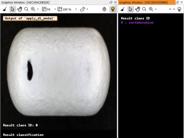 Inference in MVTec HALCON