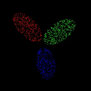 Rejection classes training data