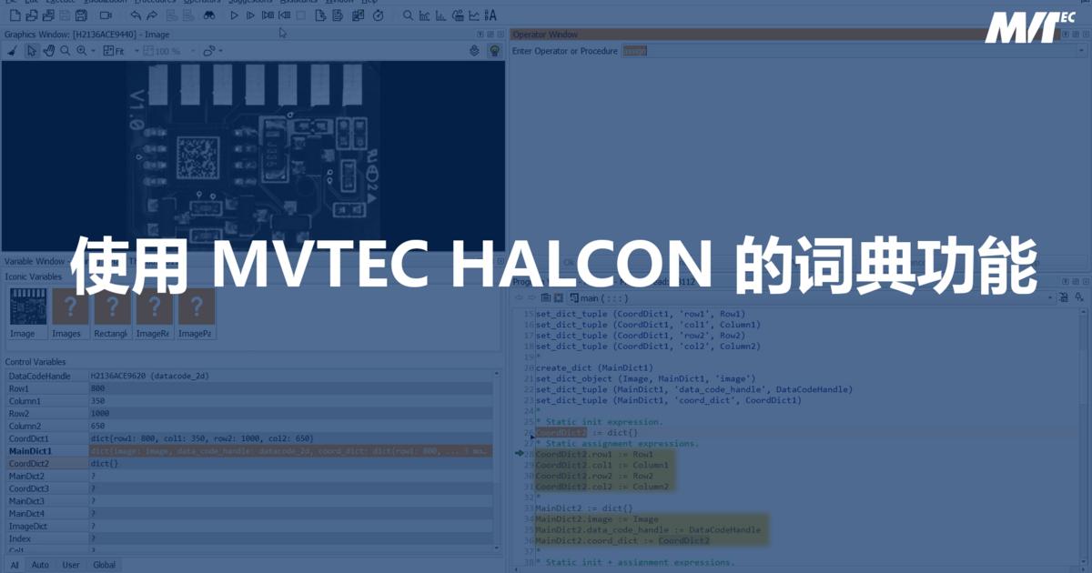在HALCON中使用字典